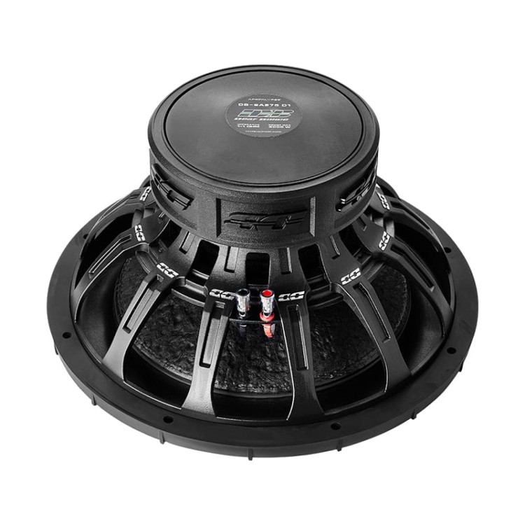 dbsa275d2 (2).jpg