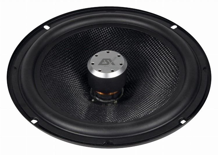 qxe8.2c_woofer_front_angle.jpg