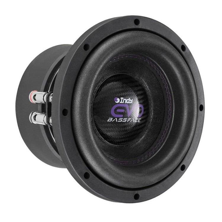 bassface-indy-evo8-2-woofer-8-cali-20-cm-moc-750-wat-rms-2x2-ohm (2).jpg