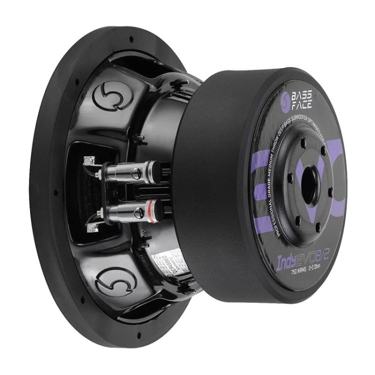 bassface-indy-evo8-2-woofer-8-cali-20-cm-moc-750-wat-rms-2x2-ohm (5).jpg