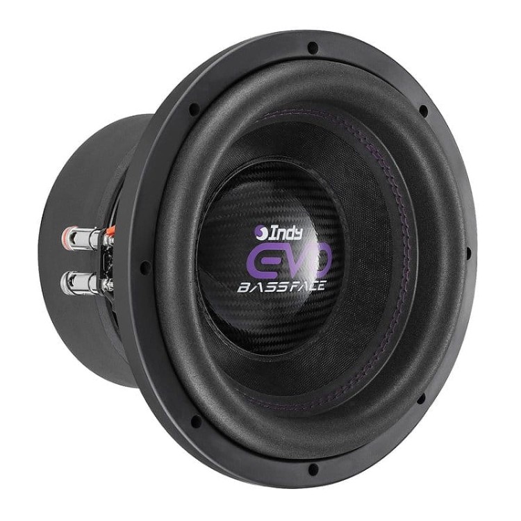 bassface-indy-evo10-2-woofer-10-cali-25-cm-moc-1250-wat-rms-2x2-ohm (2).jpg