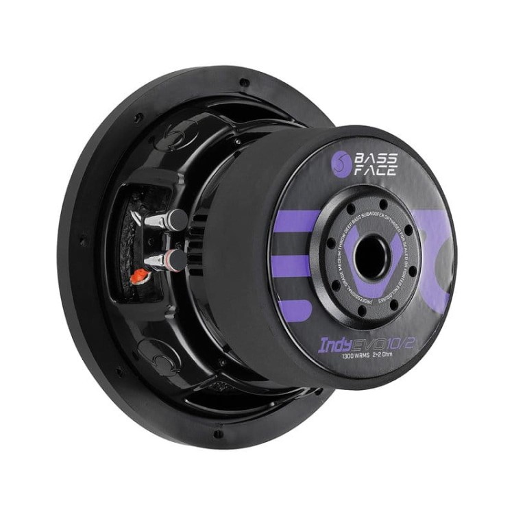 bassface-indy-evo10-2-woofer-10-cali-25-cm-moc-1250-wat-rms-2x2-ohm (4).jpg