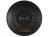 dshran.766965.xxl.webp