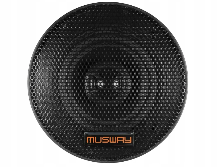 dshran.766965.xxl.webp