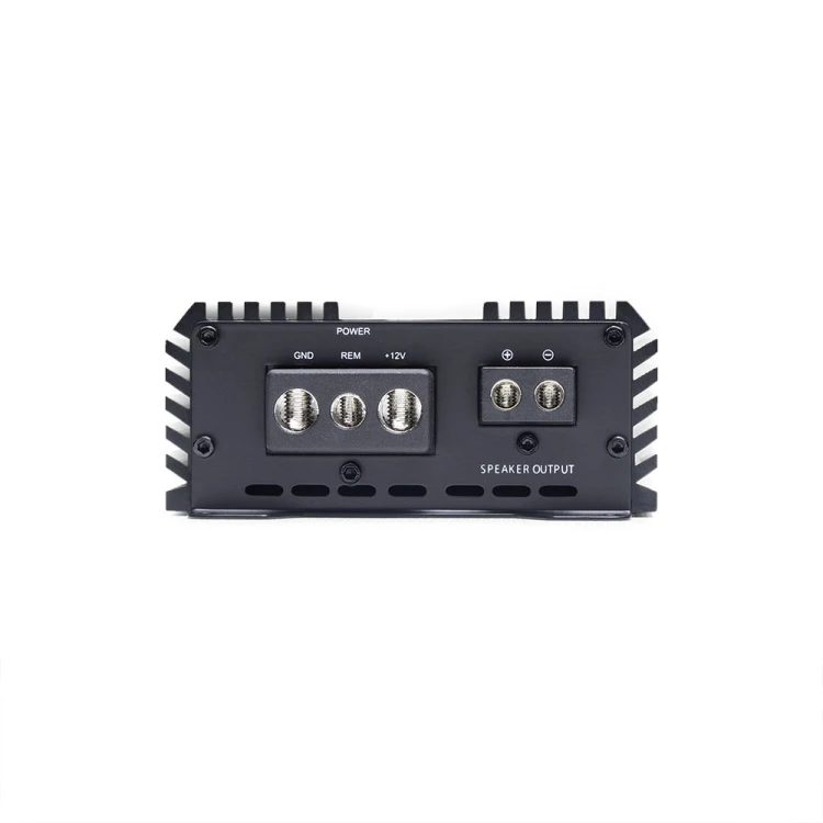 SS600-monoblock-amplifier-03.jpg