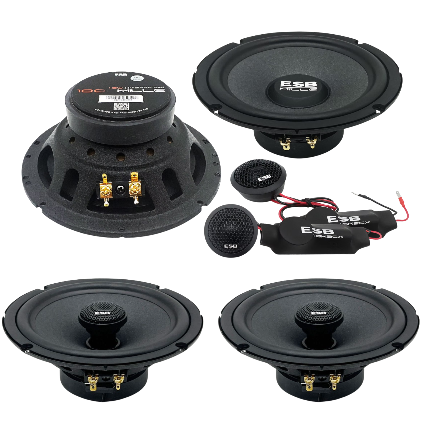 Projekt bez nazwy (6).png